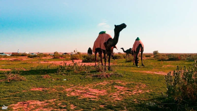 عطايا الله