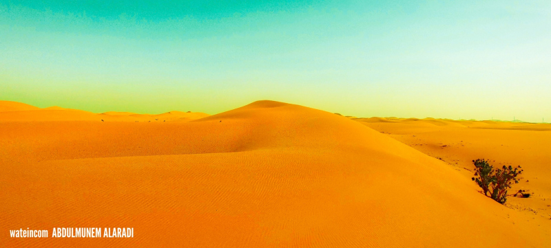 IMG_٢٠١٦١٢٣٠_١٨٢٢٤٠-1