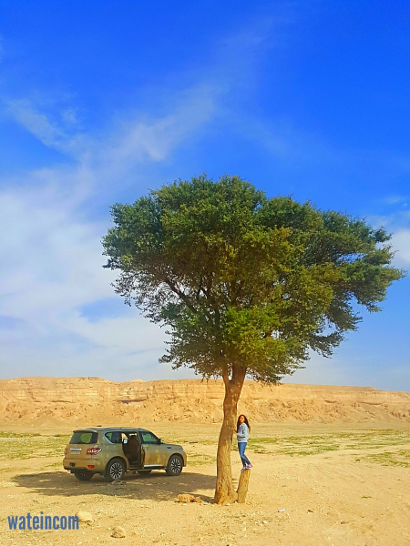 IMG_٢٠١٧٠٢٠٨_١٩٢٧٤٧-1