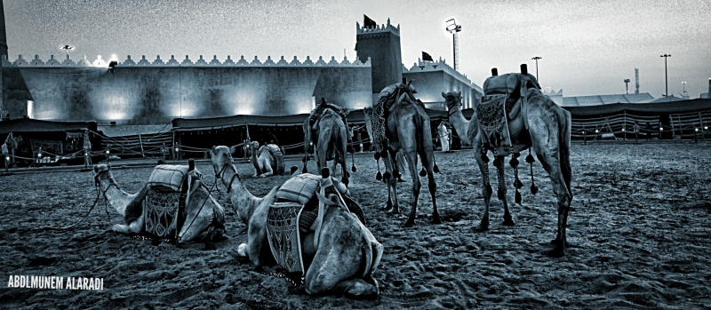 IMG_٢٠١٨٠٢١٥_٢١٥٦٤٠-1