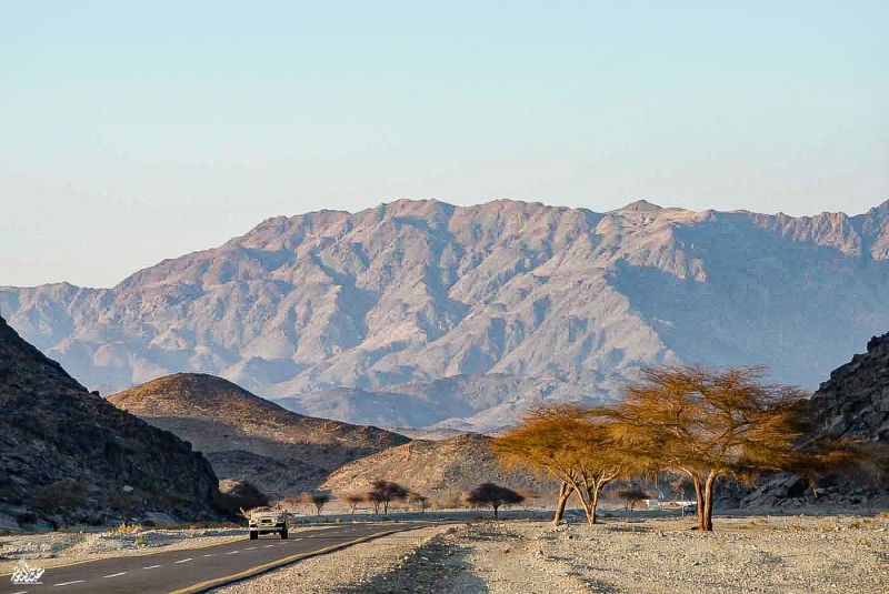 منظر من البلوية