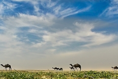 عطايا الله