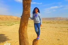 IMG_٢٠١٧٠١١٤_٢٢٥١٣٦-copy